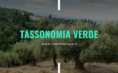 Tassonomia verde e competitività europea